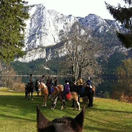 بيت ضيافة Reitbauernhof Schartner التوسي