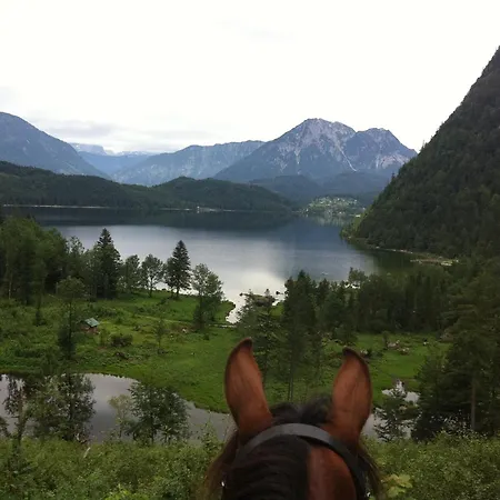 Reitbauernhof Schartner 3*