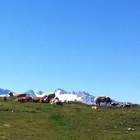 Reitbauernhof Schartner بيت ضيافة 3*