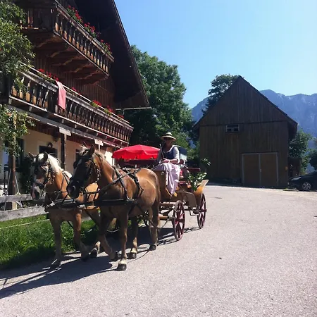 Reitbauernhof Schartner Guest house