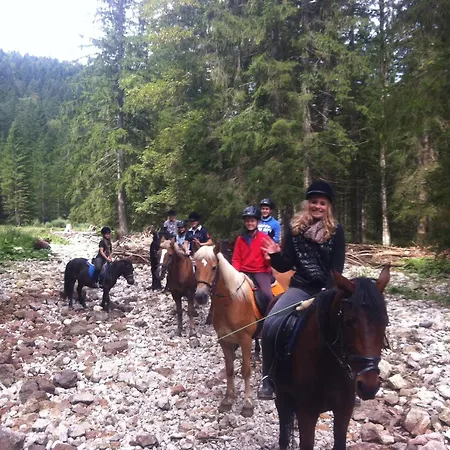 Reitbauernhof Schartner بيت ضيافة 3*