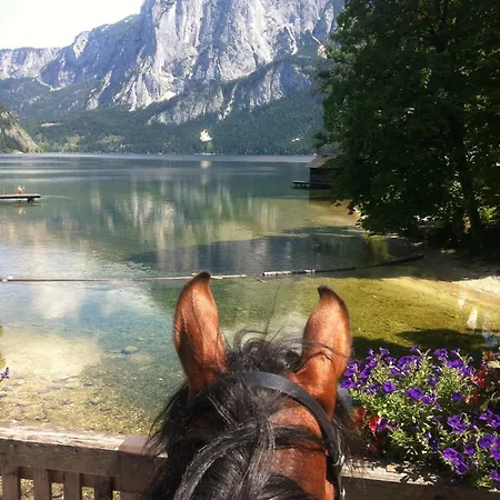 沙特纳马场旅馆 3*