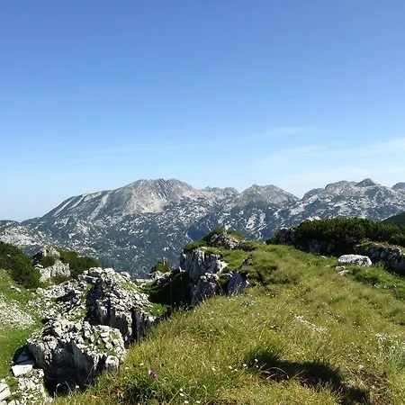 招待所 沙特纳马场旅馆