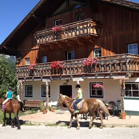 招待所 沙特纳马场旅馆