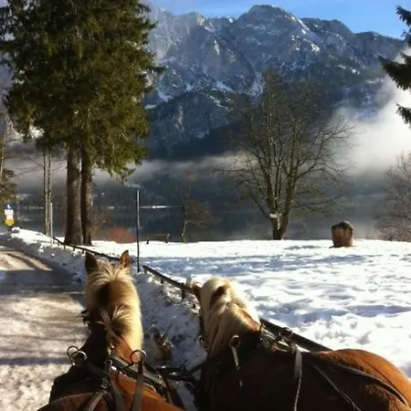 Guest house Reitbauernhof Schartner Altaussee