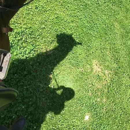 沙特纳马场旅馆 招待所 奥尔陶斯