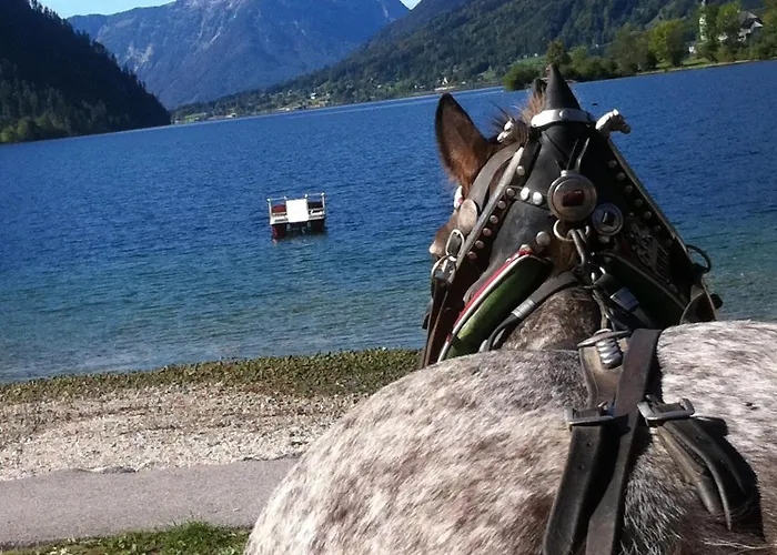 Pensión Reitbauernhof Schartner