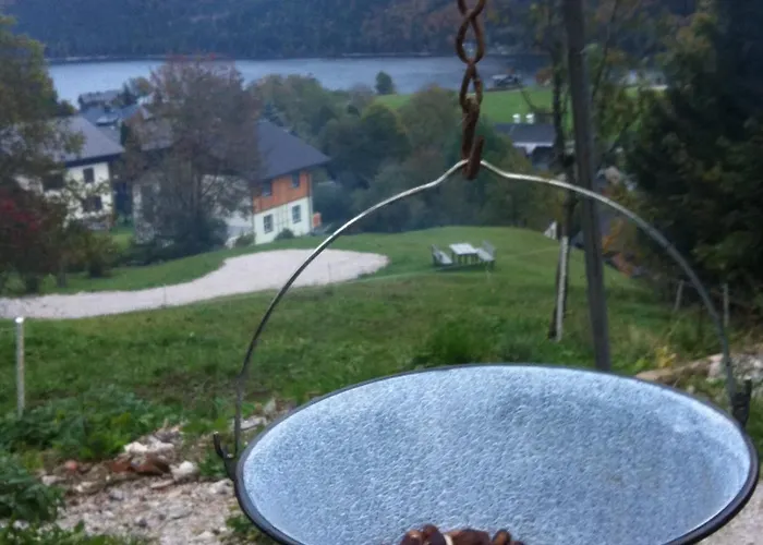 Reitbauernhof Schartner Pensión Altaussee