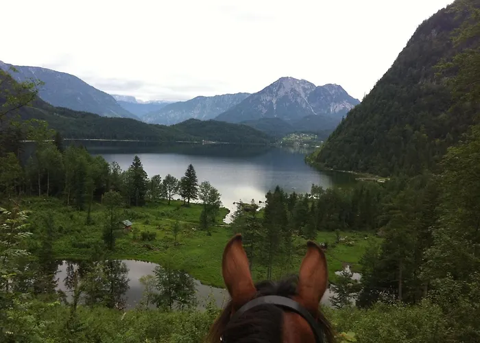 Reitbauernhof Schartner 3*