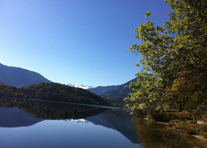 Pensión Reitbauernhof Schartner