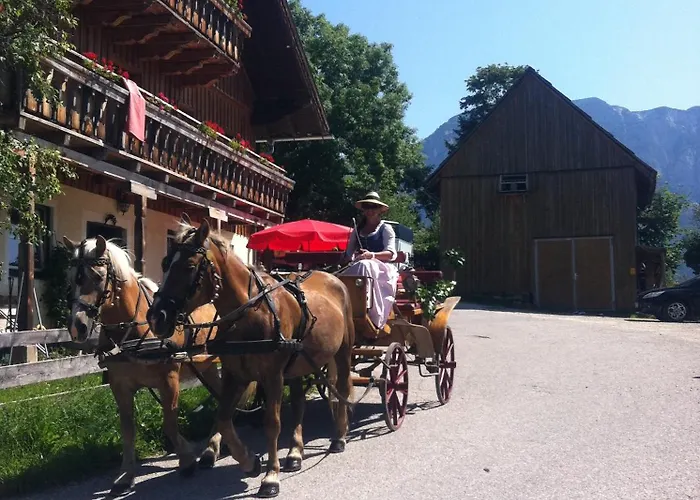 Reitbauernhof Schartner Pensión