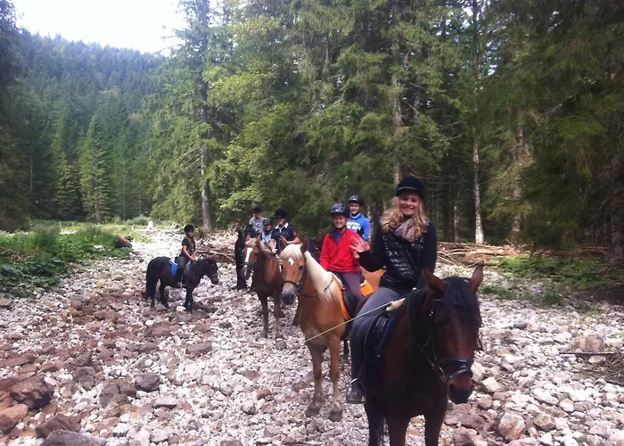 Reitbauernhof Schartner Pensión 3*