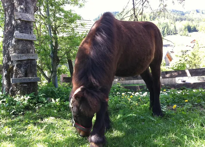 Reitbauernhof Schartner