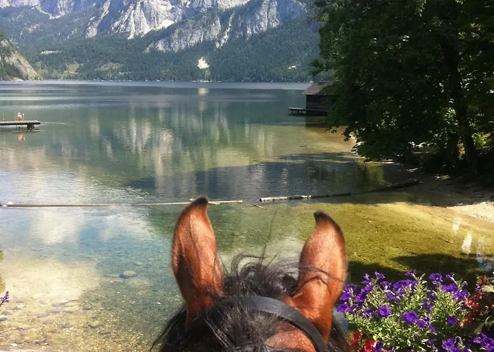 Reitbauernhof Schartner 3*