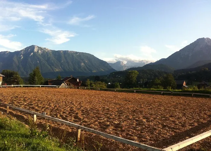 بيت ضيافة Reitbauernhof Schartner التوسي