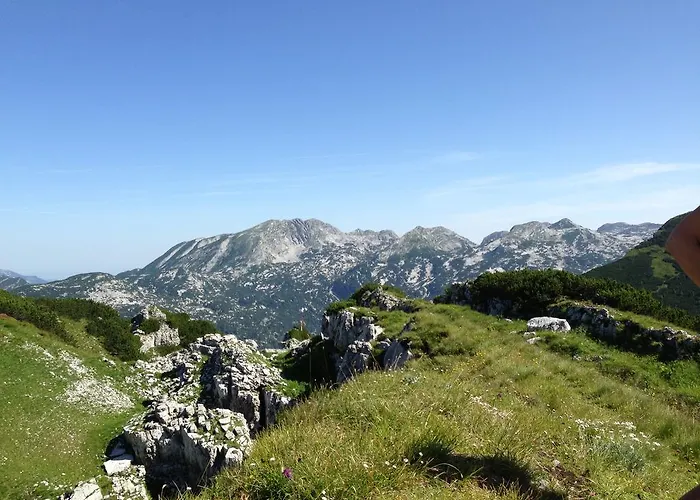 Pensión Reitbauernhof Schartner