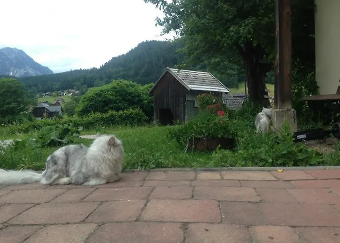 Reitbauernhof Schartner