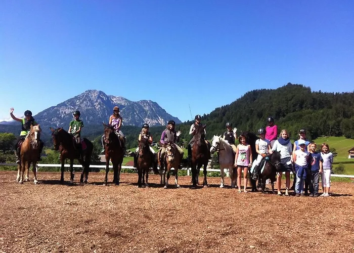 Reitbauernhof Schartner 3*