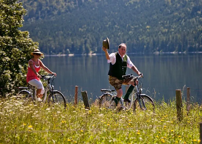 Pensión Reitbauernhof Schartner 3*