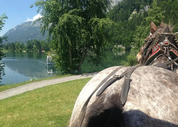 Pensión Reitbauernhof Schartner