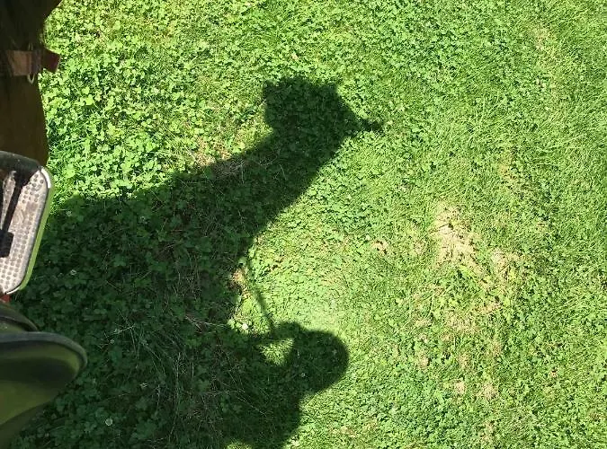 Reitbauernhof Schartner بيت ضيافة التوسي