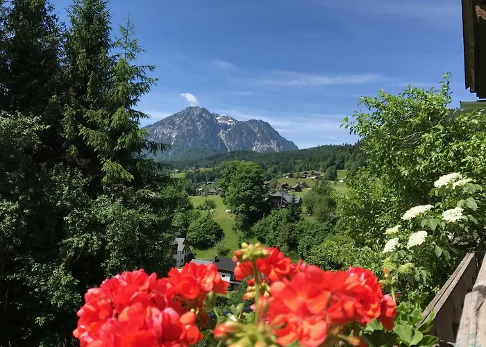 Reitbauernhof Schartner 3* التوسي