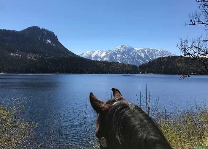 Reitbauernhof Schartner 3* Altaussee